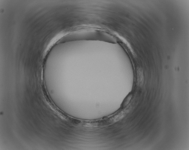 X0000084041365200703161820