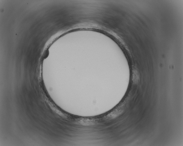 X0000084041366200703161820