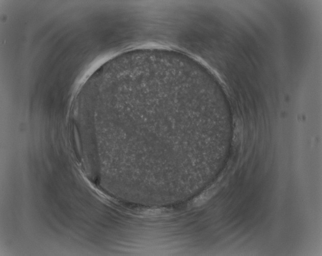 X0000084041367200703161820