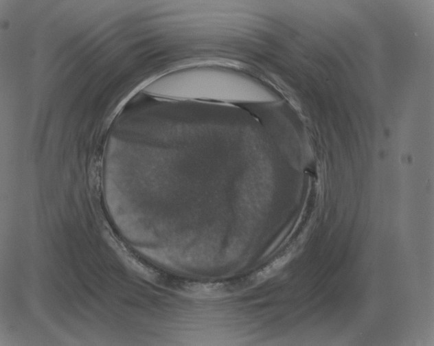 X0000084041369200703161820