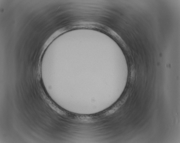 X0000084041370200703161820