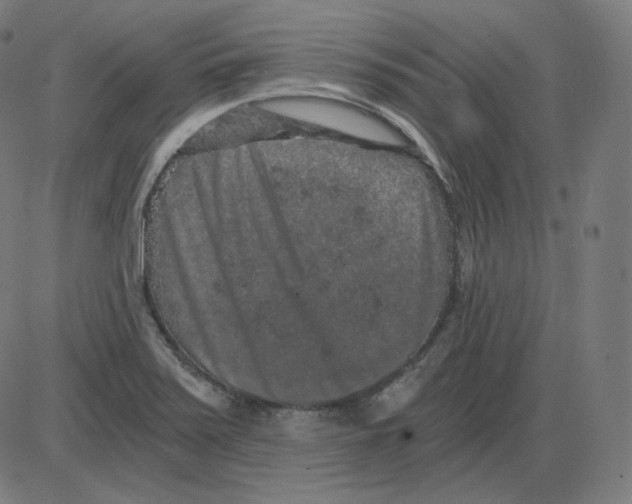 X0000084041371200703161820