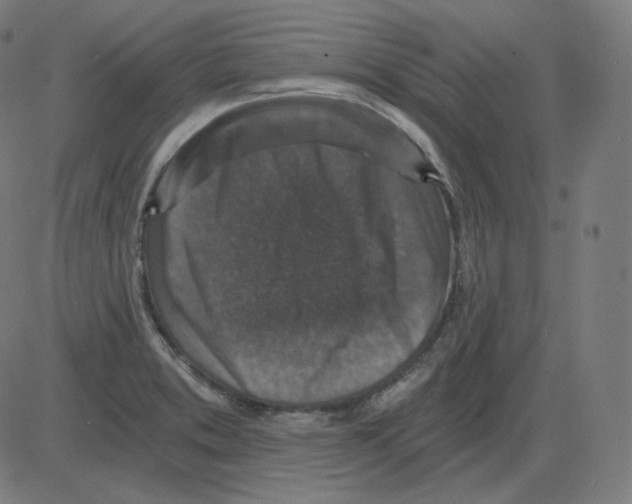 X0000084041373200703161820