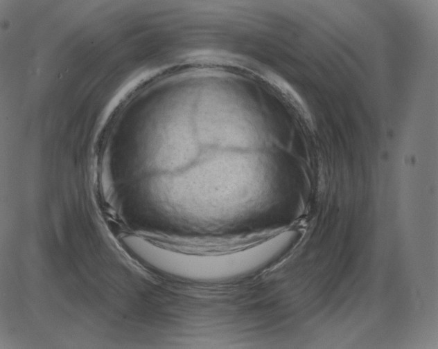 X0000084041376200703161820