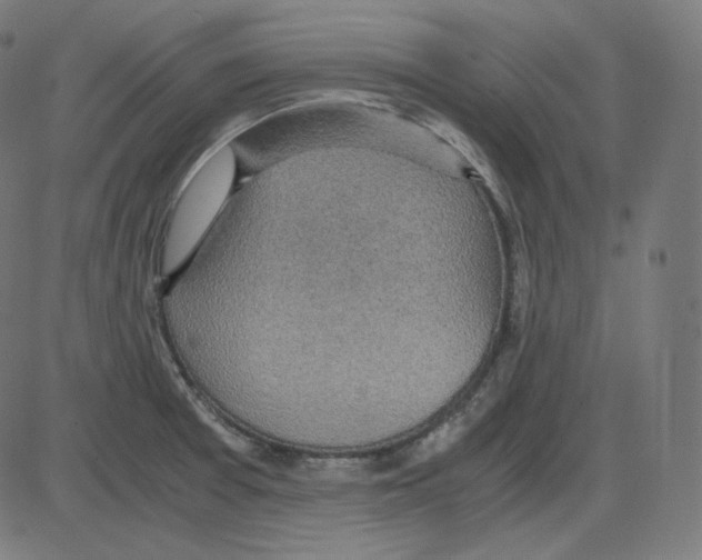 X0000084041377200703161820