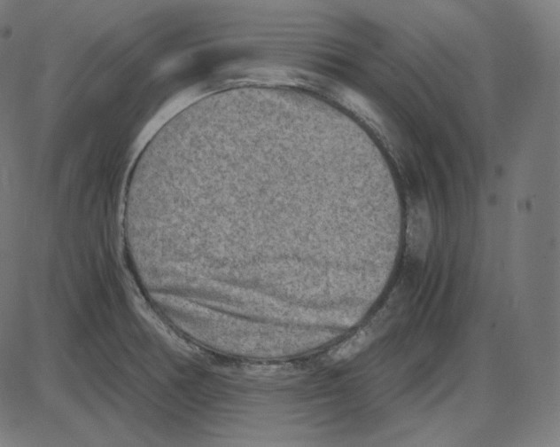 X0000084041378200703161820