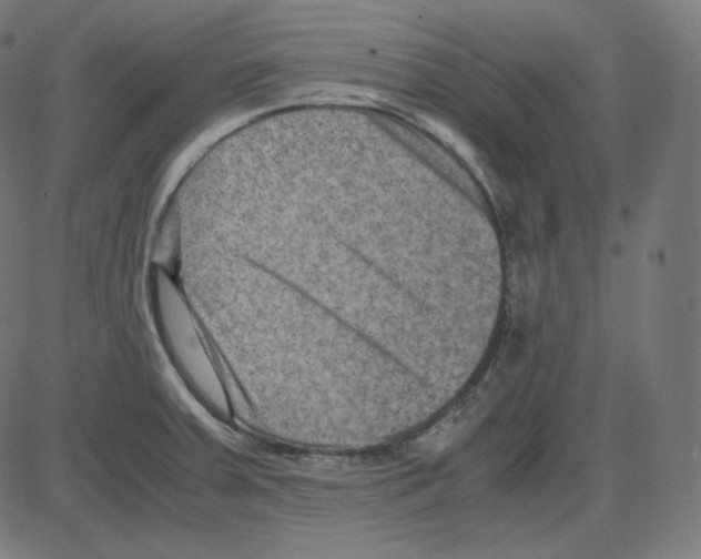 X0000084041379200703161820