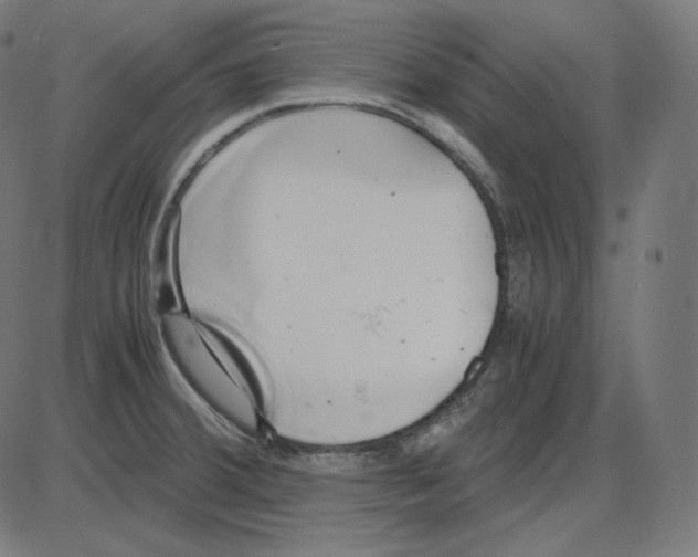 X0000084041380200703161820