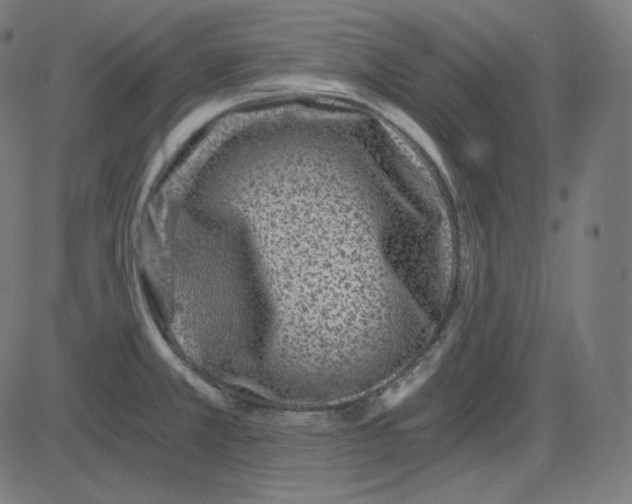 X0000084041381200703161820