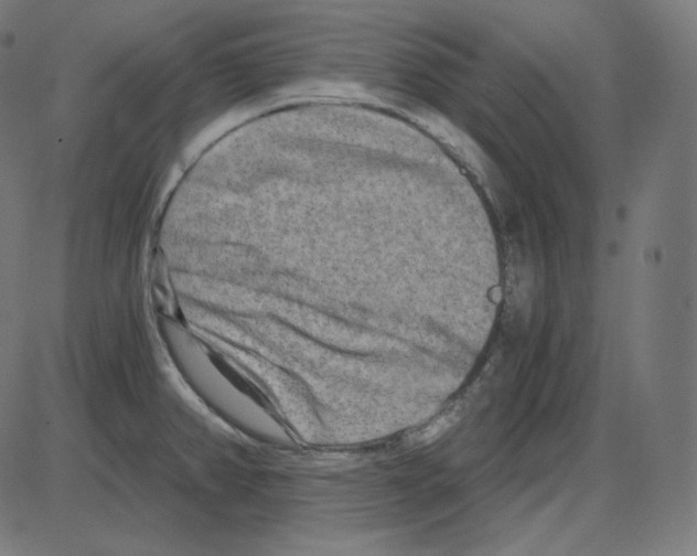 X0000084041382200703161820