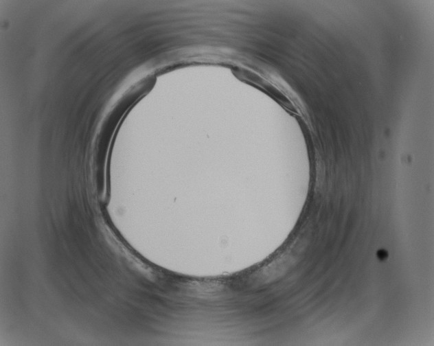 X0000084041384200703161820