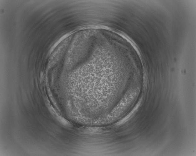 X0000084041385200703161820