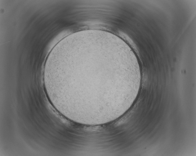 X0000084041386200703161820