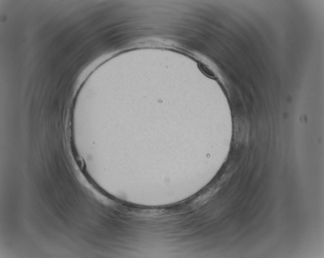 X0000084041387200703161820