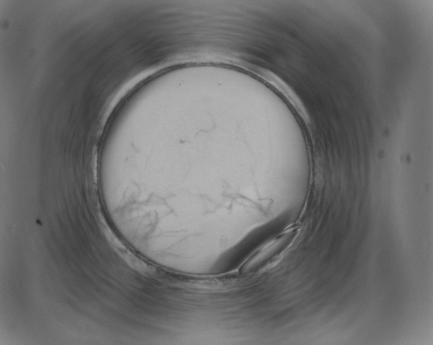 X0000084041388200703161820