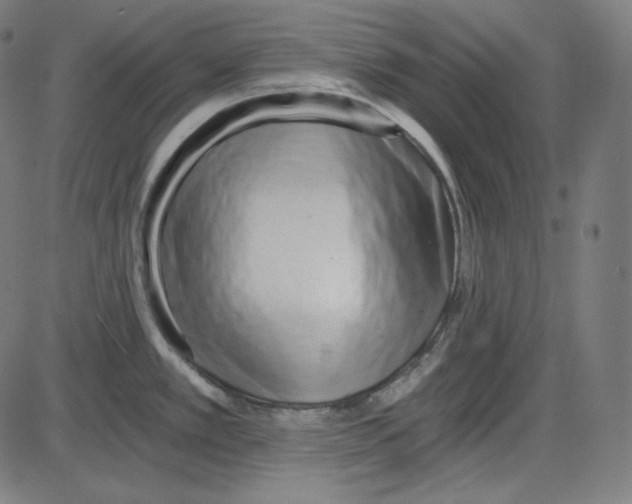 X0000084041389200703161820