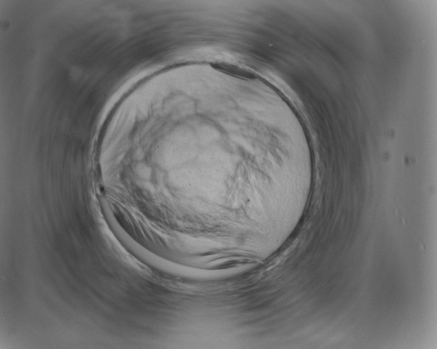 X0000084041392200703161820