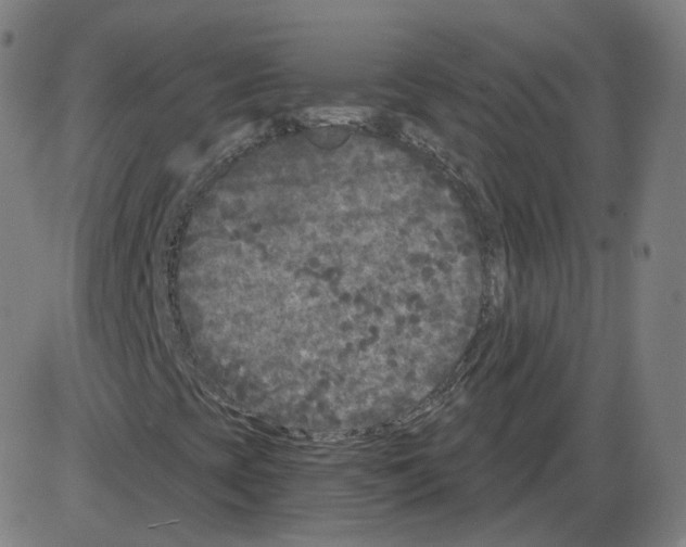 X0000084041393200703161819