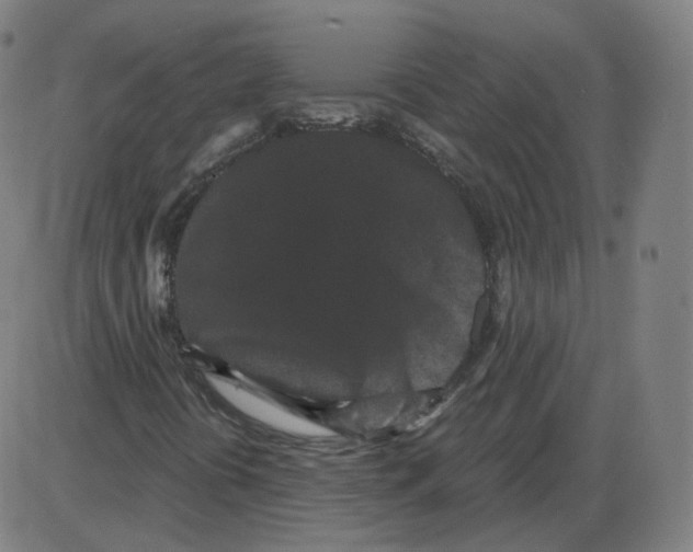 X0000084041394200703161819