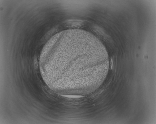 X0000084041395200703161819