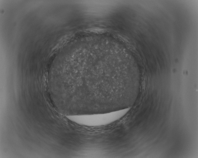 X0000084041397200703161819