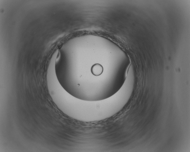 X0000084041398200703161819