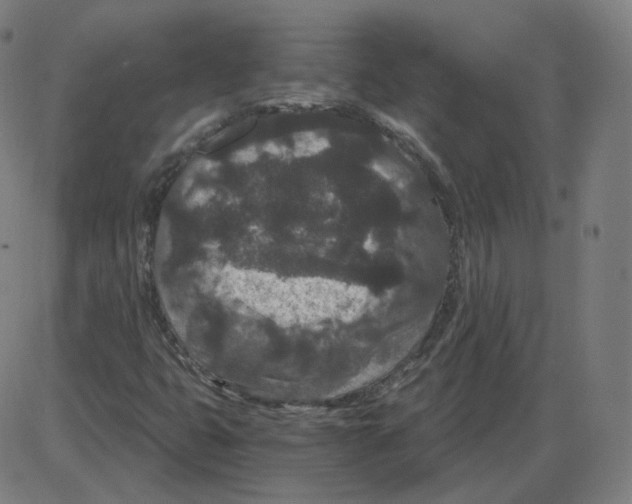 X0000084041399200703161819