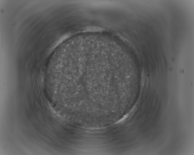 X0000084041401200703161819