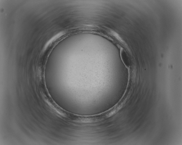 X0000084041402200703161819