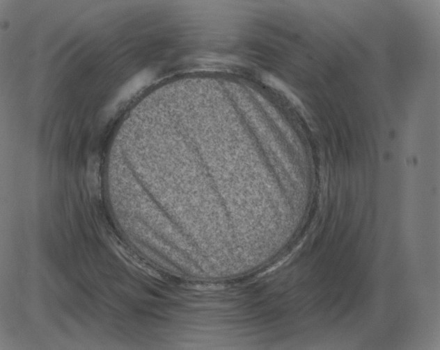 X0000084041403200703161819