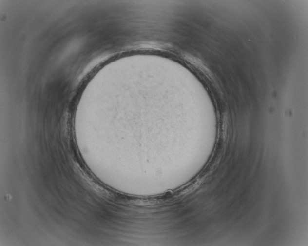 X0000084041404200703161819