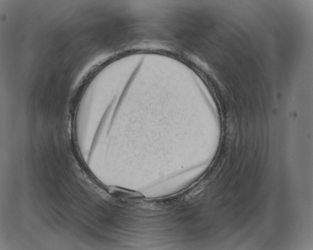 X0000084041408200703161819