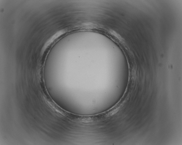 X0000084041410200703161819