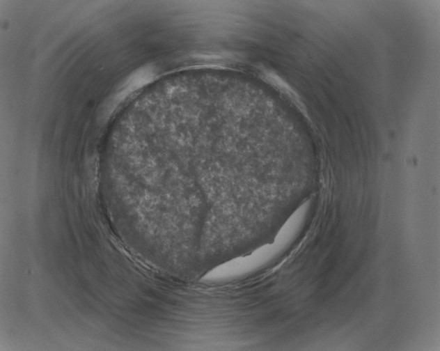 X0000084041411200703161819