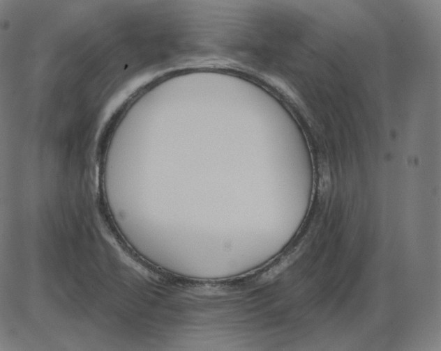 X0000084041414200703161819