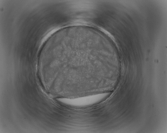 X0000084041415200703161819