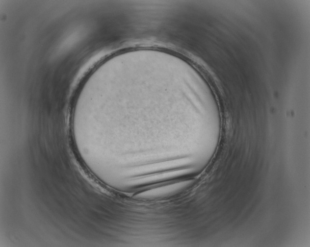 X0000084041416200703161819