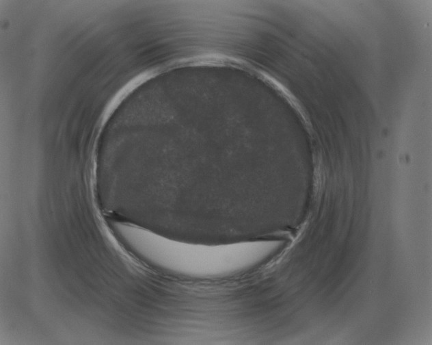 X0000084041418200703161820