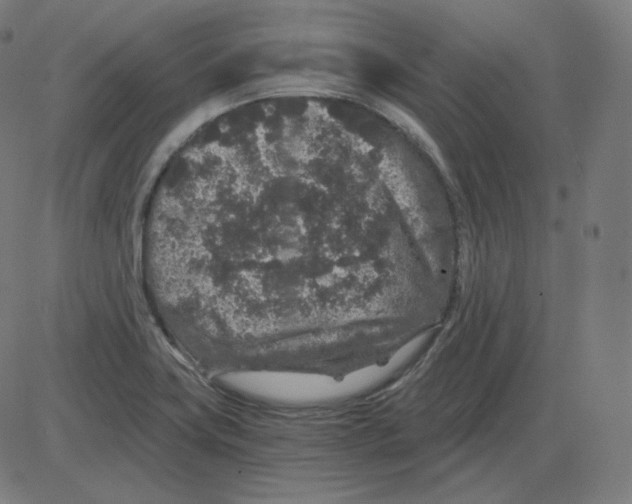 X0000084041419200703161820