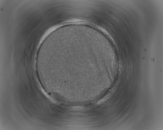 X0000084041421200703161820