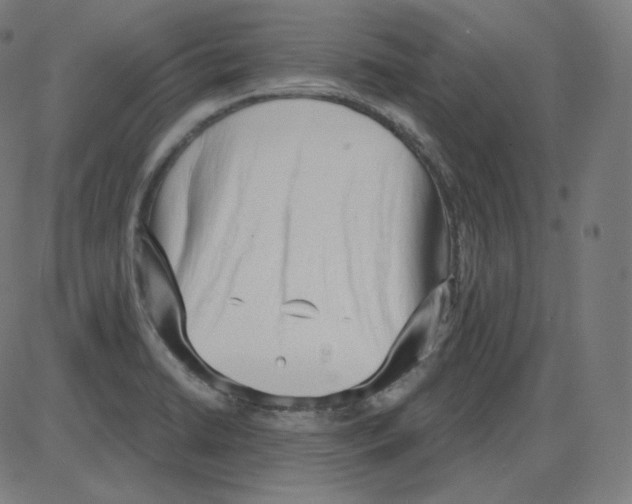 X0000084041422200703161820