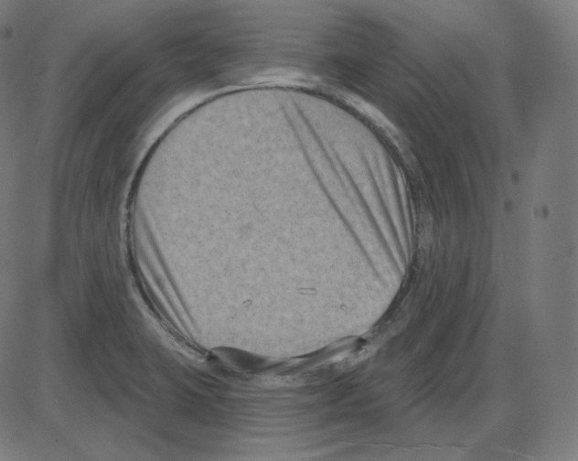 X0000084041423200703161820