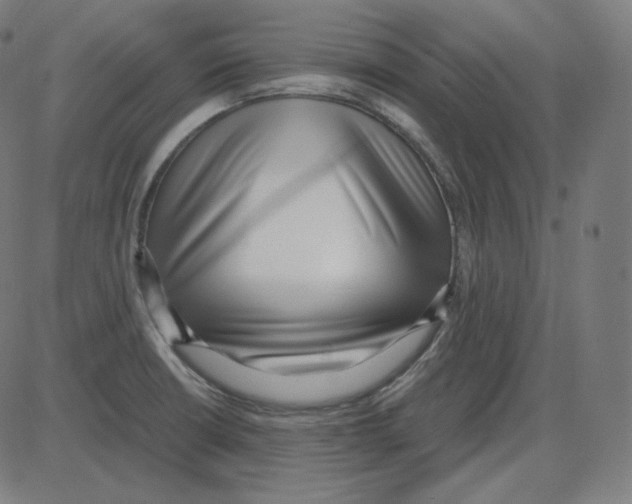 X0000084041426200703161820