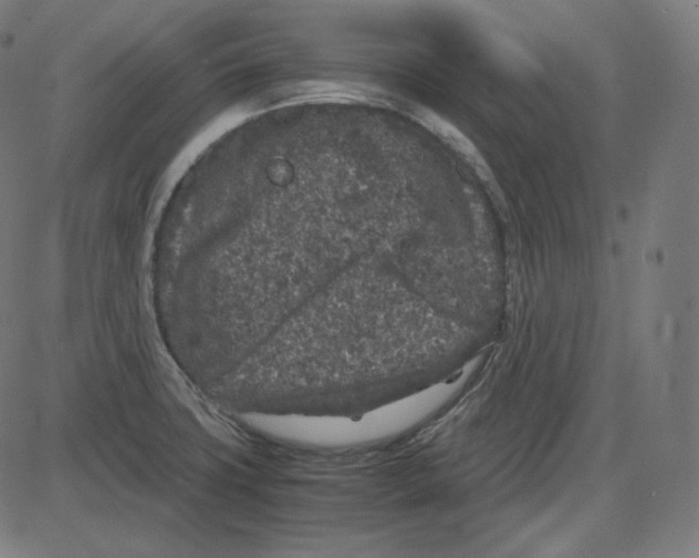 X0000084041427200703161820