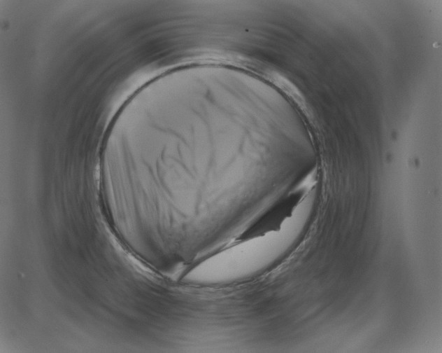 X0000084041428200703161820