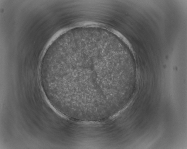 X0000084041429200703161820