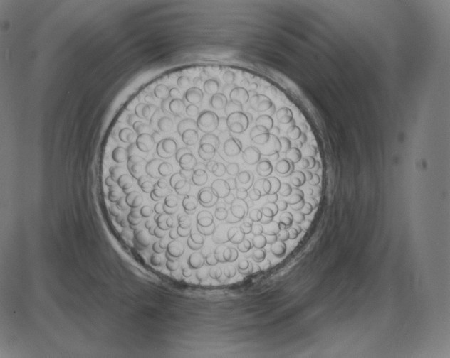 X0000084041432200703161820