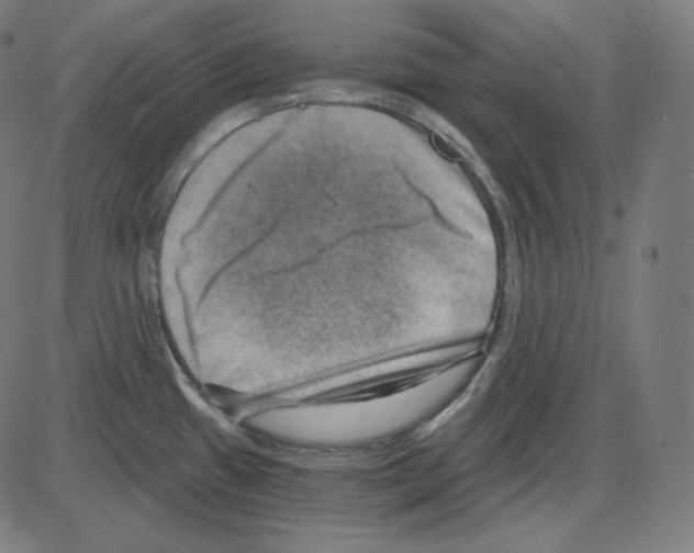 X0000084041433200703161820