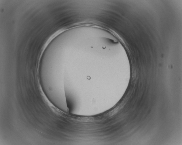 X0000084041434200703161820