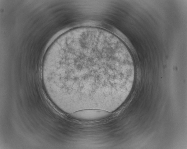 X0000084041436200703161820